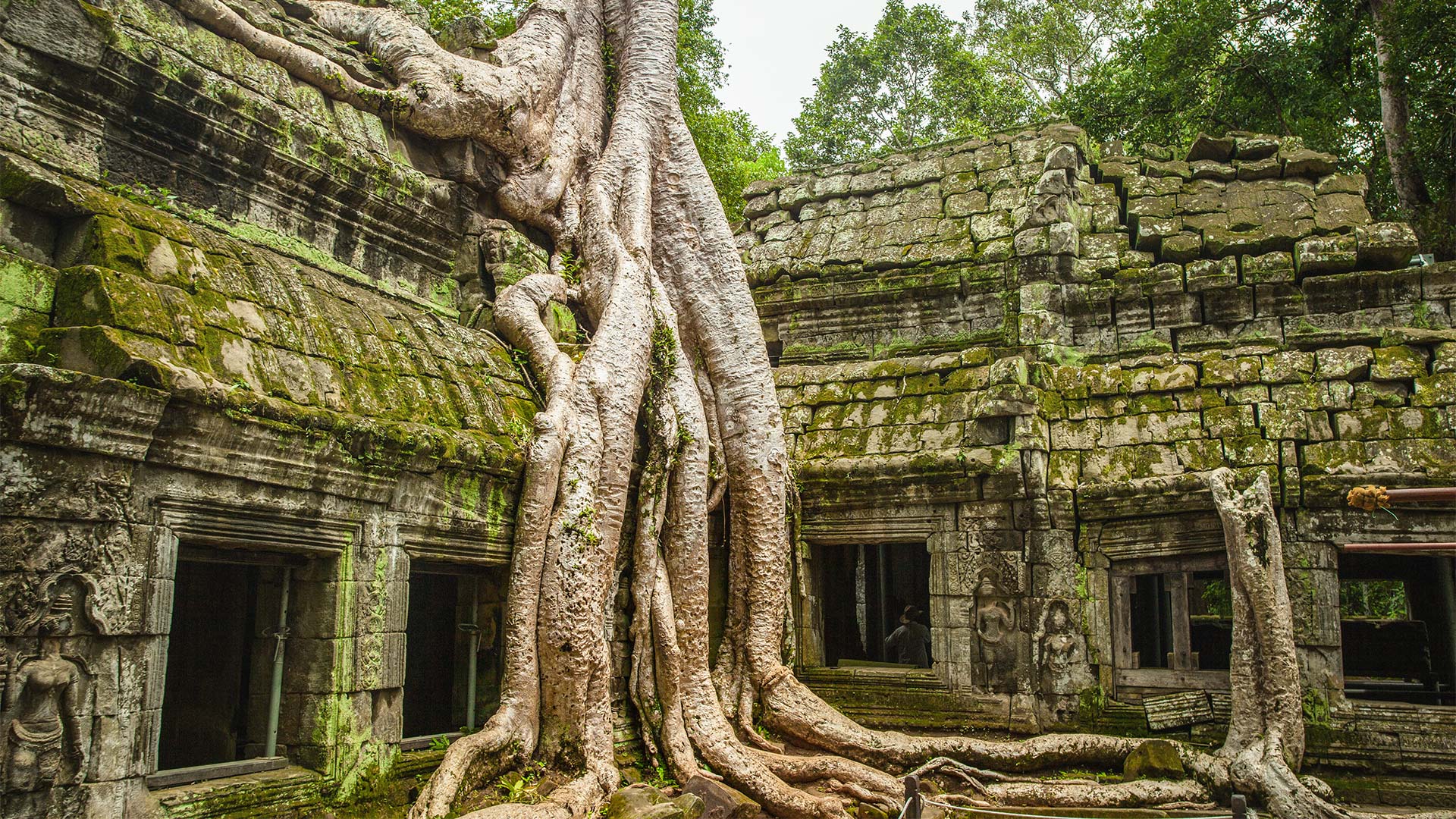 Guide in Angkor Wat