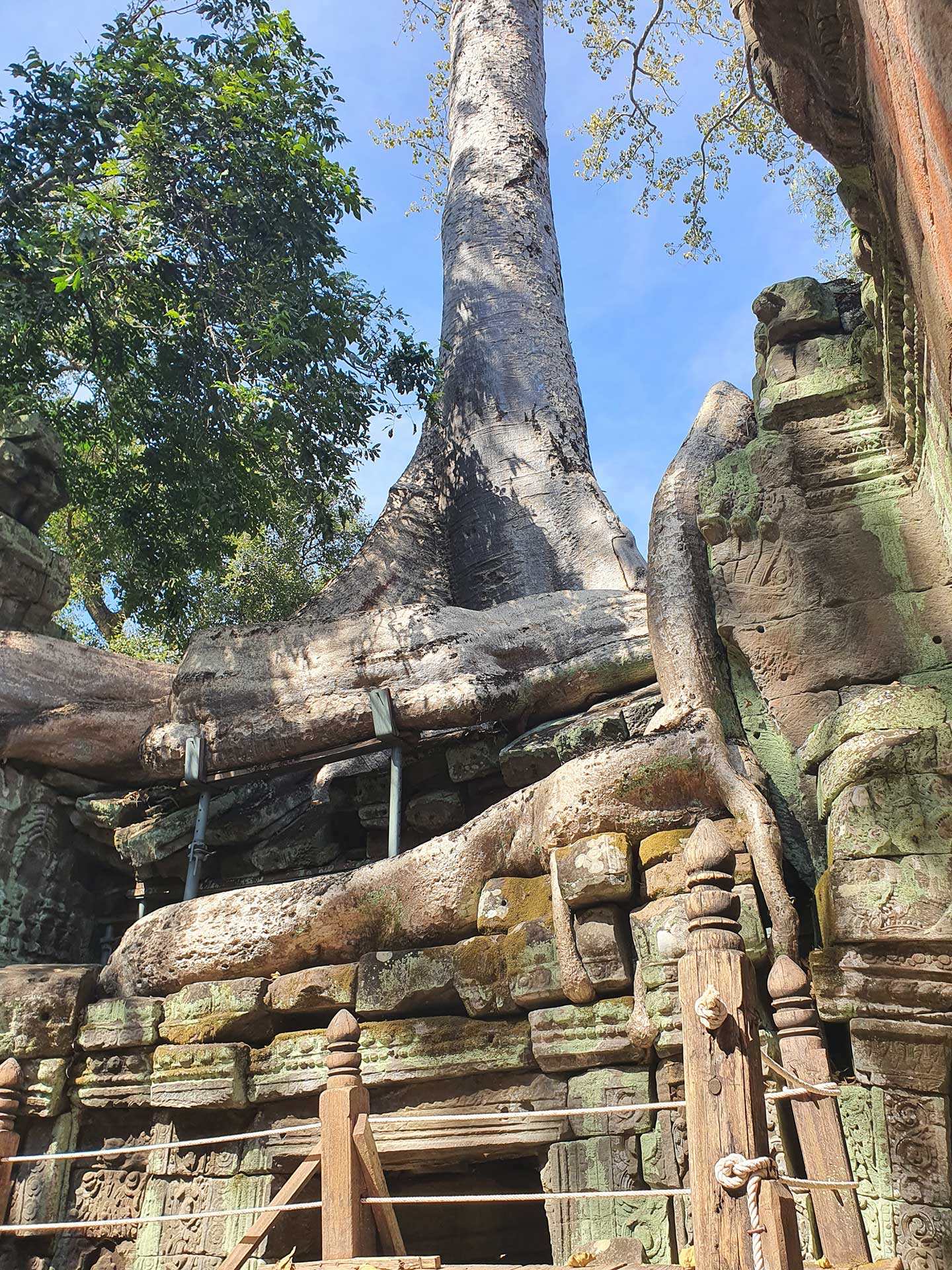 guide in Angkor Wat